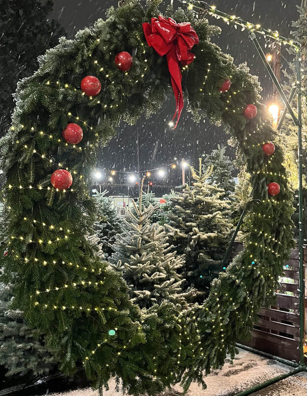 Picture of huge wreath at tree lot