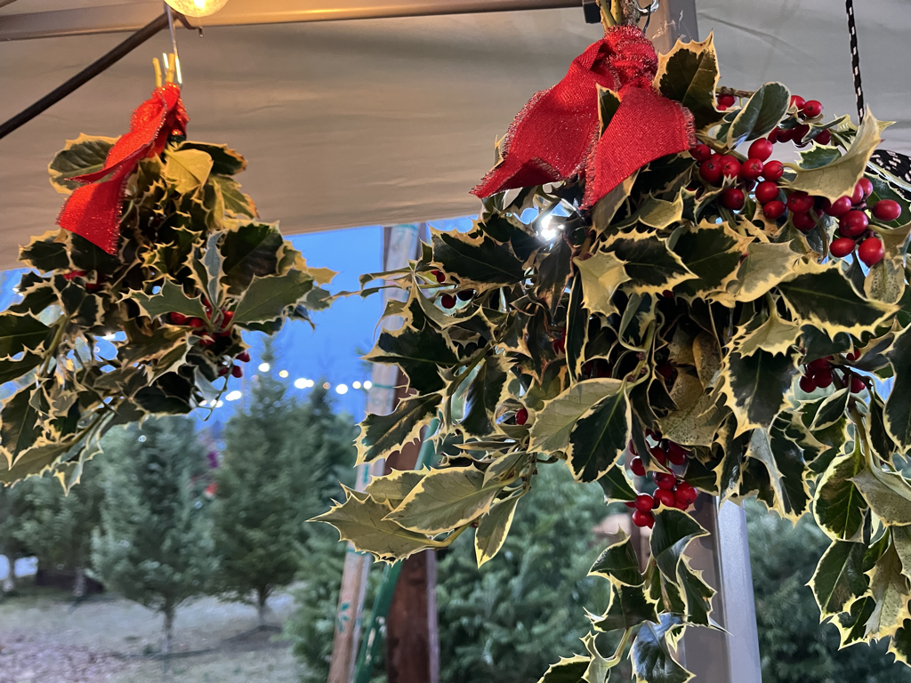 Picture of wreaths made on the farm